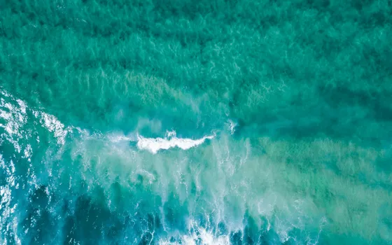 Ocean