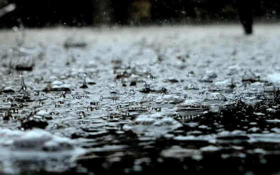 Rain