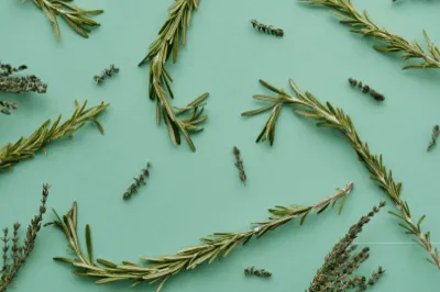 Rosemary